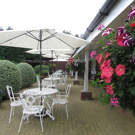 Decoy Barn Fritton B&B 외부 사진