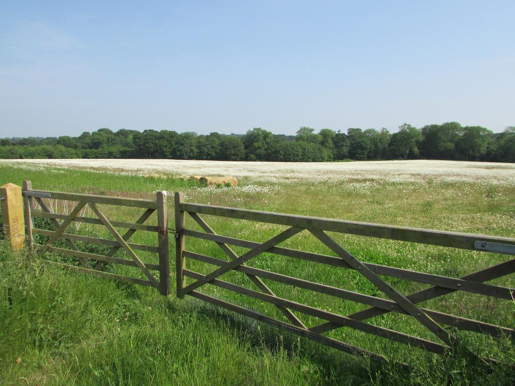 Decoy Barn Fritton B&B 외부 사진