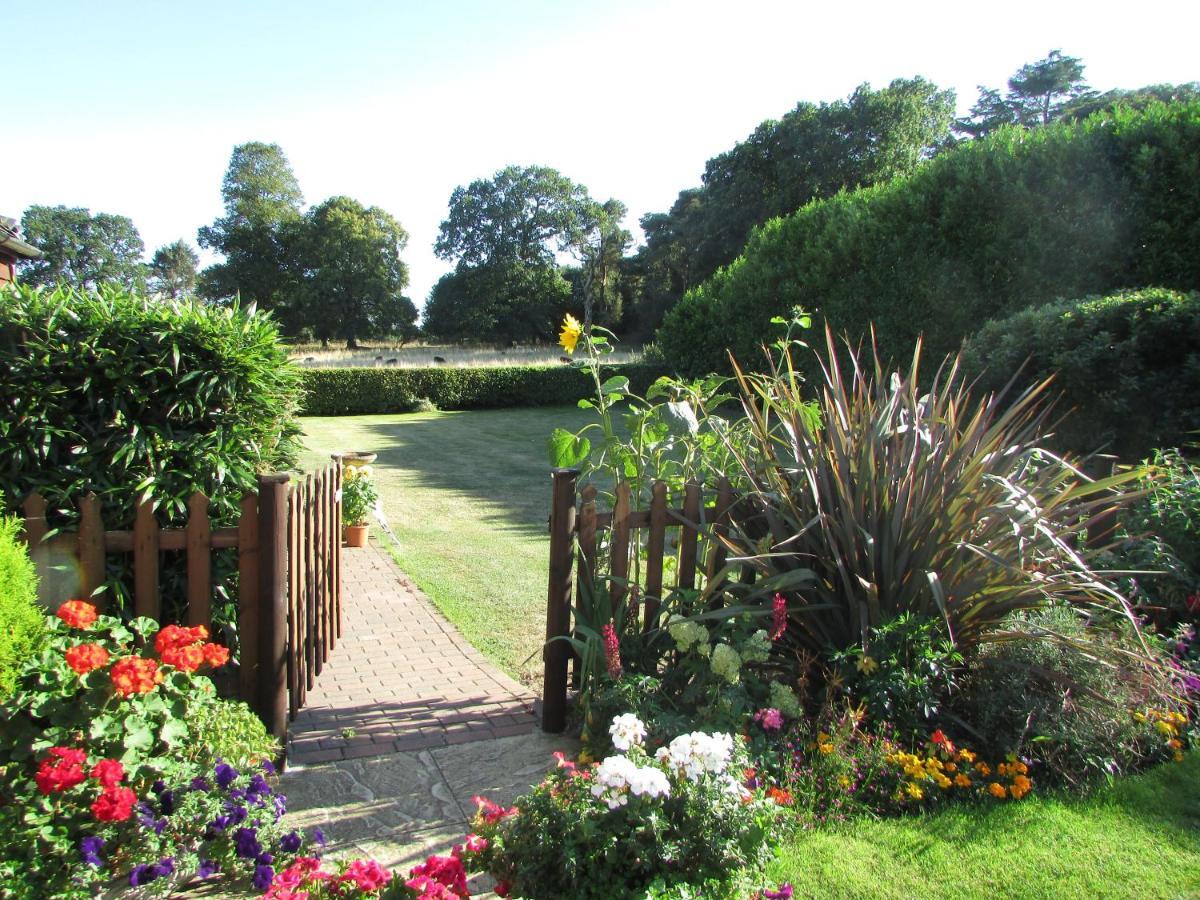 Decoy Barn Fritton B&B 외부 사진